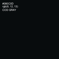 #080C0D - Cod Gray Color Image